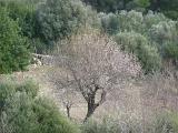 sizilien-mallorca 239